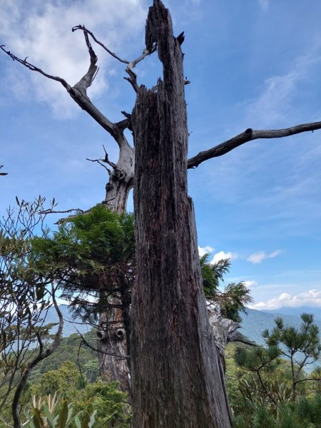 讓嚮導犬小黑帶你悠遊唐穗山1391128