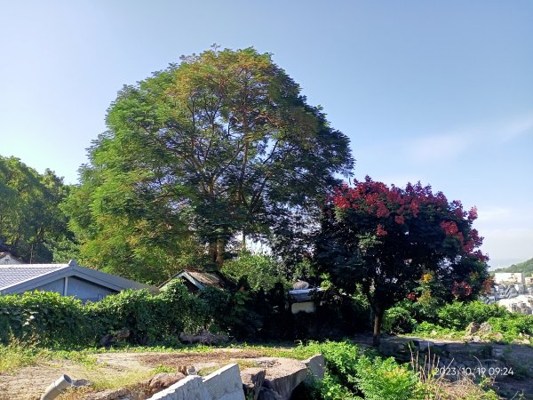 半嶺步道、松溪瀑布、橫嶺古道、湖山綠地【發現陽明山、走路趣尋寶、健康大穀東】2321343