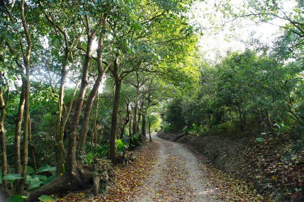 宜蘭 蘇澳 蘇澳山2893041