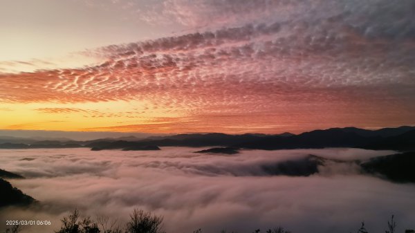 翡翠水庫壩頂 #曙光 #日出 #火燒雲 #斜射光(上帝光) #雲海 3/12722444