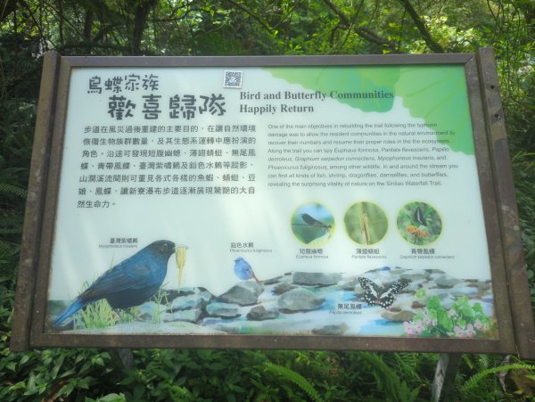 2025.08.09－新寮瀑布2856181