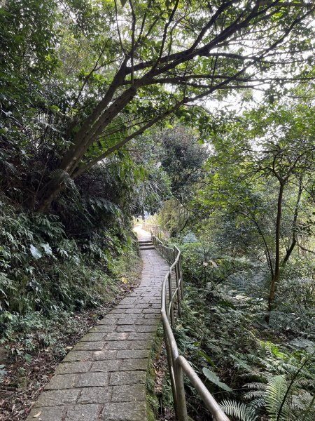 大台北縱走第六段1665920