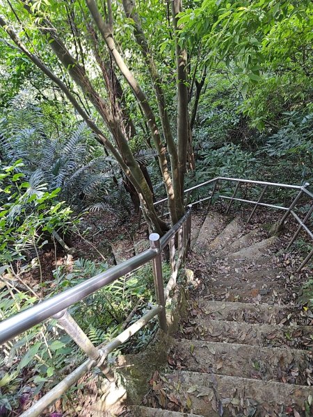 臺北大縱走第六段 中華科技大學至捷運麟光站2764471