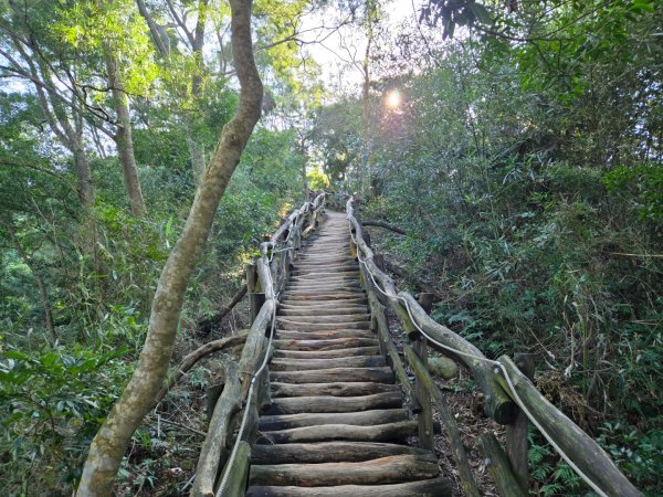 大坑一號、大坑五號（小百岳）2656483