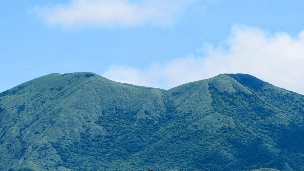 北海岸。良率2783353