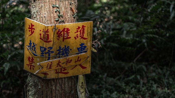 從新北走到宜蘭-坪溪古道 & 石空古道1839482