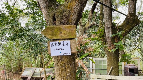 1100306.13鳳凰山.觀音山步道1298224