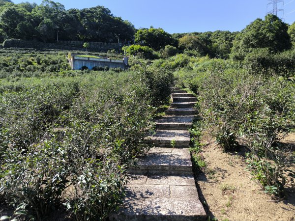 20250928微笑山線：【二格山系】銀河洞越嶺段2896177