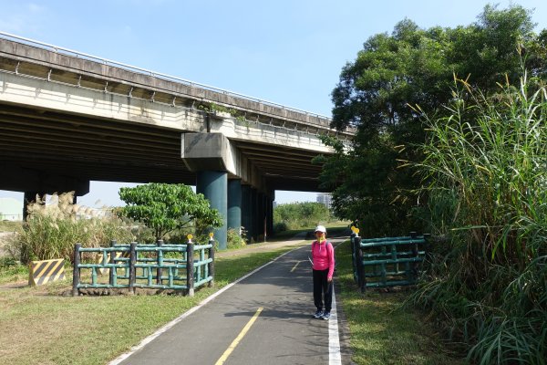 國家級城林人工濕地．打鳥埤人工溼地1182169