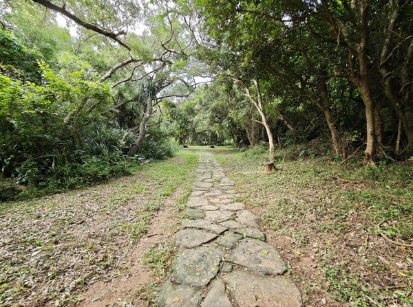 [百山百鳥尋旅-02/15] 2025_0809 社頂自然公園步道2856894