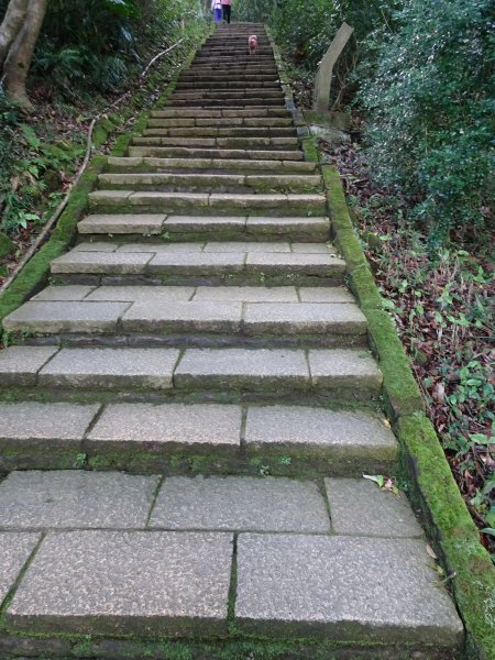 台灣小百岳第13座台北南港-南港山767771