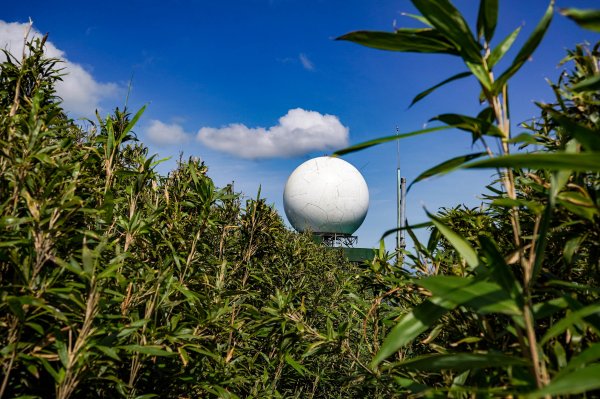 五分山｜小百岳2915456