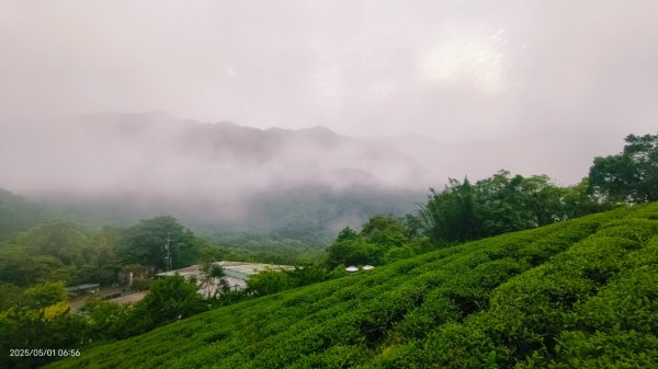 翡翠水庫壩頂 #火燒雲雲海 #日出雲海 #鱷魚島 #藍腹鷴 4/292773794