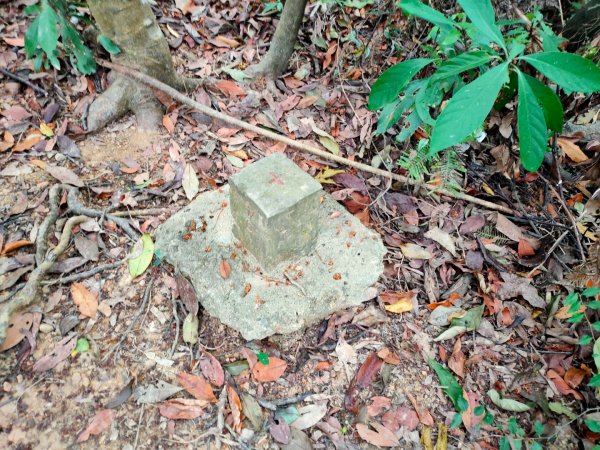 ［金劍縱走］（金面山~劍潭山）（2023/11/14）2352857