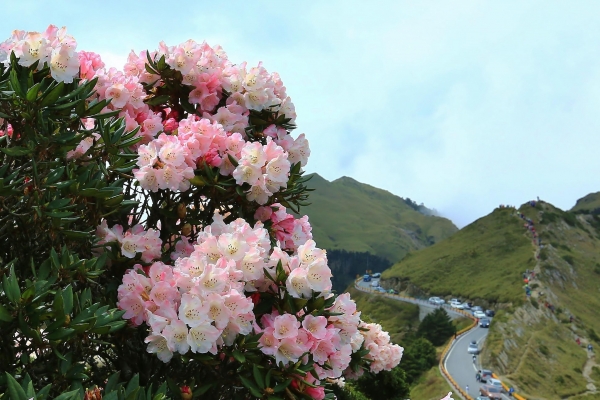 艷麗的季節---主峰-東峰-石門