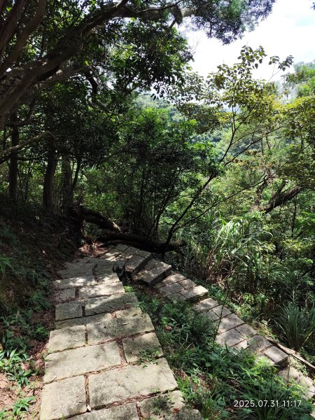 大湖公園→大溝溪生態治水園區→圓覺寺步道→圓覺瀑布→圓覺寺→鯉魚山步道【臺北大縱走 4、臺北健走趣】2849170