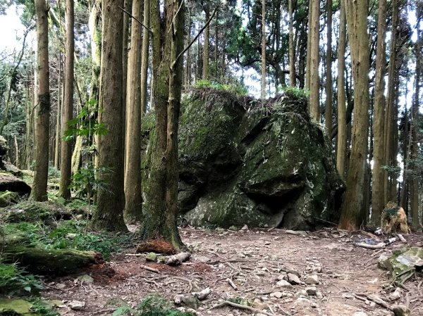 加里山大坪登山口201911241965151