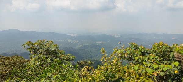 頭嵙山、聚興山3123082