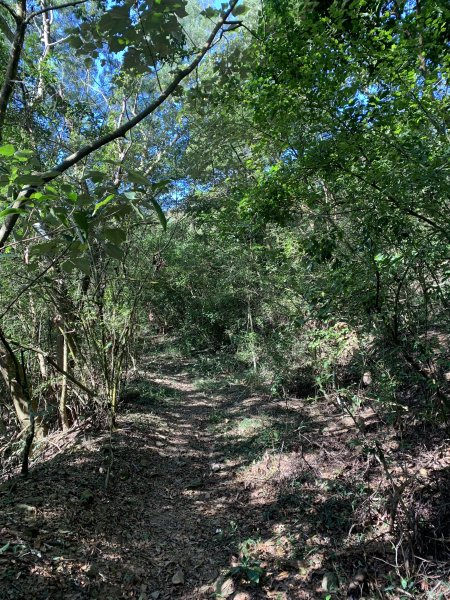 20250301屏東戶亞宇山主峰-基點峰2732972