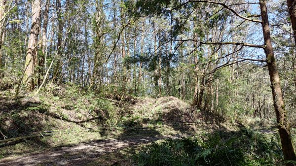 仙女散落的珍珠2723926