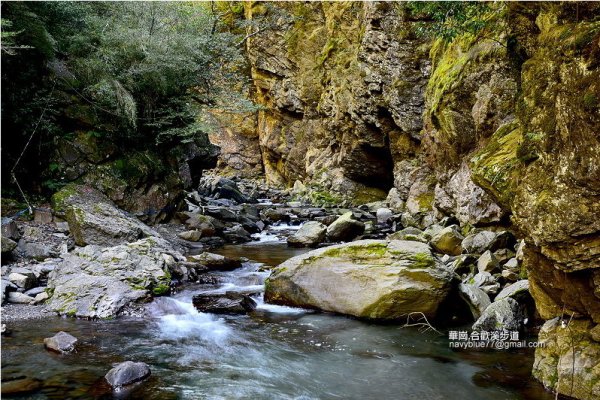 【南投】華崗合歡溪步道--走入賽德克巴萊的電影場景.飽覽清溪絕崖的山林美境