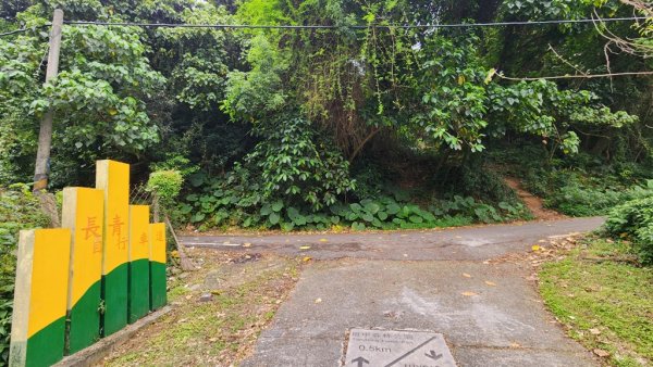 田中麒麟山連走田中森林公園北天宮O繞+ 田中大小劍逆走2756725