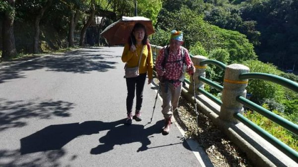 漫遊圓山八二三砲戰紀念公園→劍潭公園→天母→猴洞→半嶺→紗帽路→大港墘公園2050394