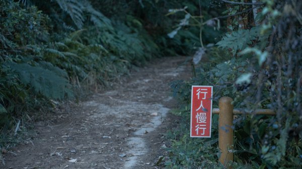 枕頭山古砲台歷史古道O型（含薑母島）2948503