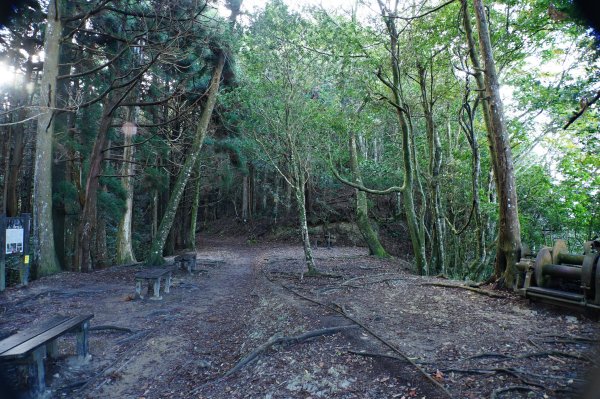 苗栗 南庄 加里山2963389