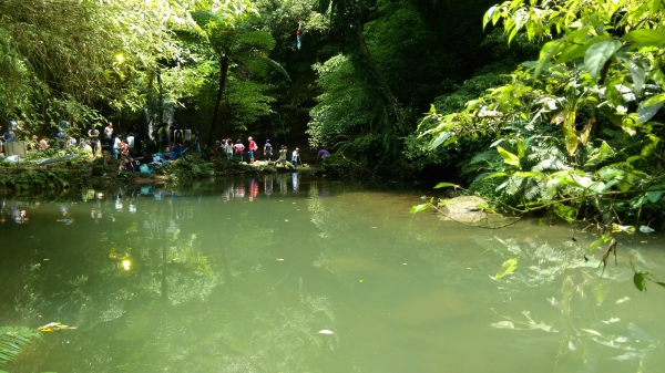 鐵道密境~嶺腳寮山步道順訪望古瀑布51546