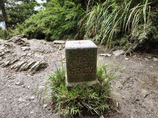 北一段(13/14)審馬陣山 2025_0906~132887555