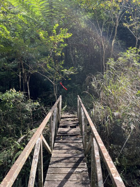 蝶夢八唐搜尋失蹤者 2025.11.252954290