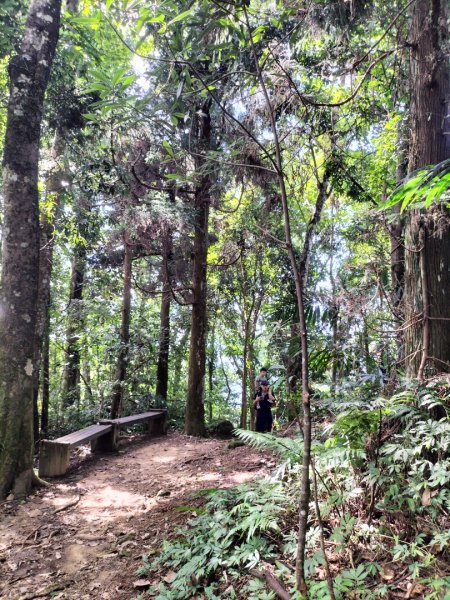 五指山登山步道2269248