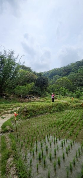 銀河洞越嶺貓空-新高麗坑山-銀獅縱走-猴山岳群峰+三條魚縱走2765493