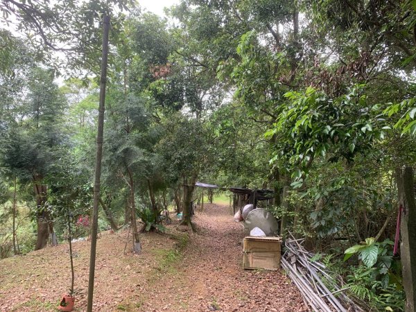 瑪陵坑群峰（七堵車站O型）2760791