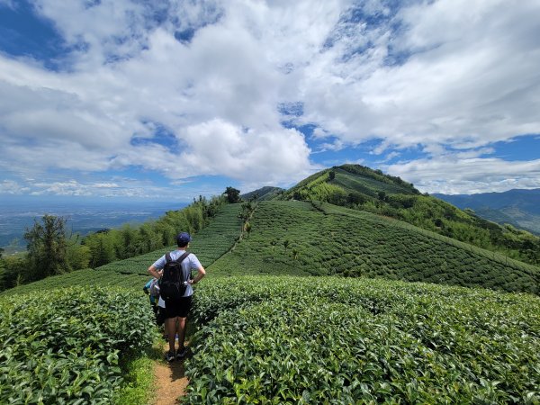 【雲嘉抺茶山】1735904