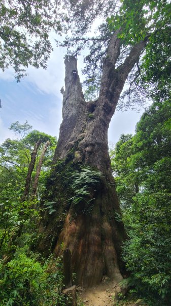 新竹尖石-內鳥嘴山2651366