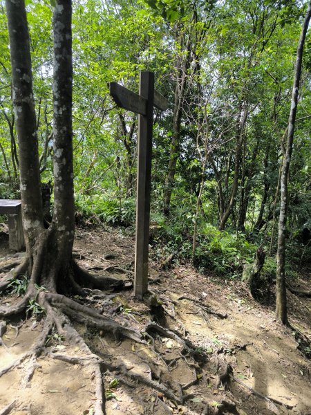 20250927微笑山線：【五分山系】望古瀑布段2896143