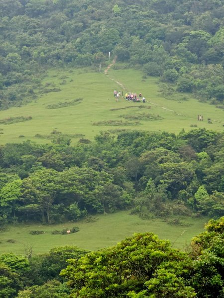 2026年臺北大縱走第三段：小油坑至風櫃口3037893
