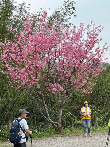 250307台北大縱走第七段2729348