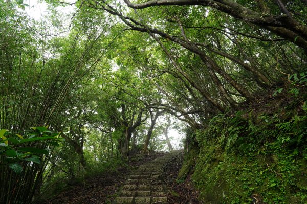 新北 平溪 薯榔尖、石筍尖、魔神仔洞2772530