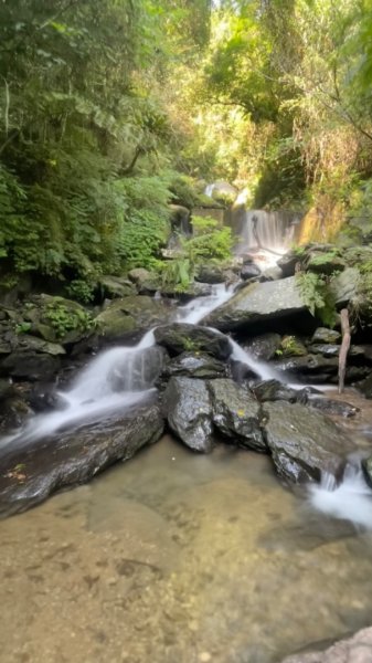 烏來阿玉溪山/西坑林道/探勘派出護管所彈藥庫遺址至獅坑橋2581998