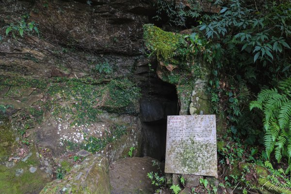 [新北]獅仔頭山2454612