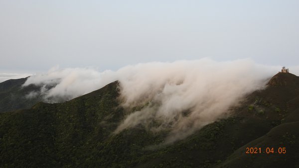 0405陽明山再見雲瀑，今年以來最滿意的一次1335483