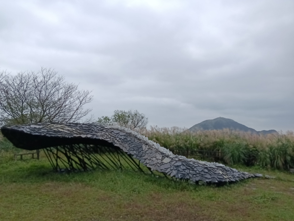 瑞芳區本山地質公園步道+草山公路+百二崁古道+樹梅坪古道O型