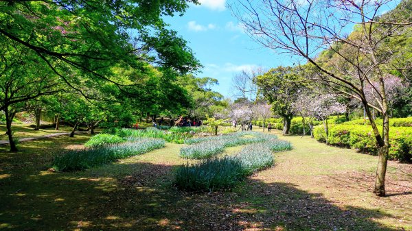 紅壇上紗帽山,花卉中心3016457