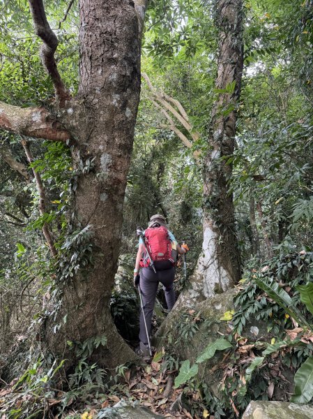 烏山縱走半程 (雲山寺~刣牛湖山) 來回 202504272773729