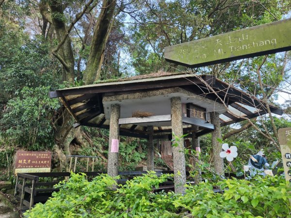 2023.12.14 土城天上山2827270