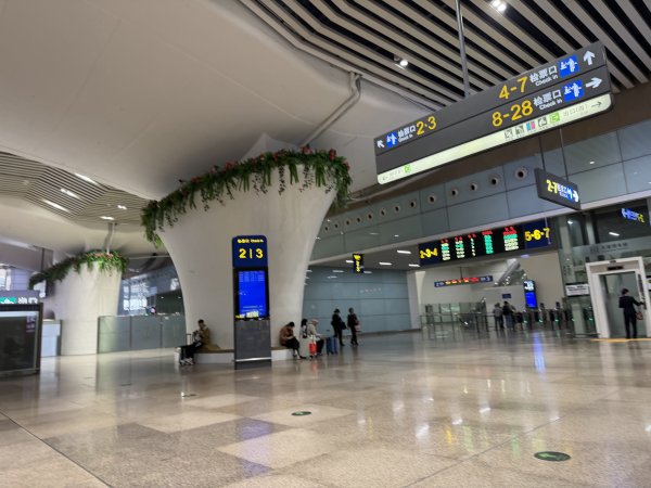 [茂名馬之行-10] 2026_0119 深圳北站2996572