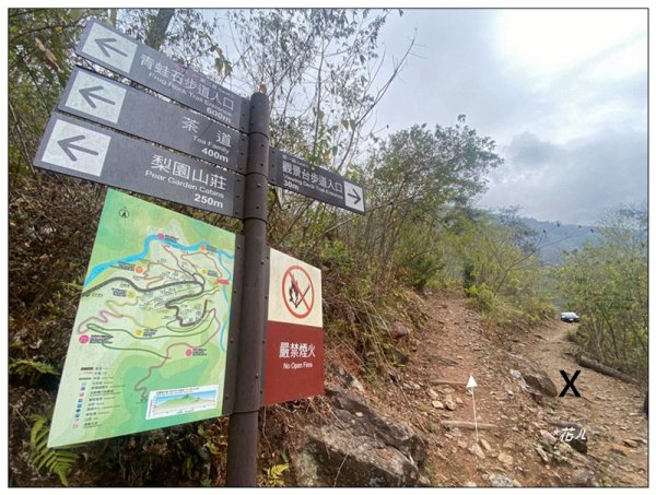 惠蓀林場 杜鵑嶺 O遶一圈3010265